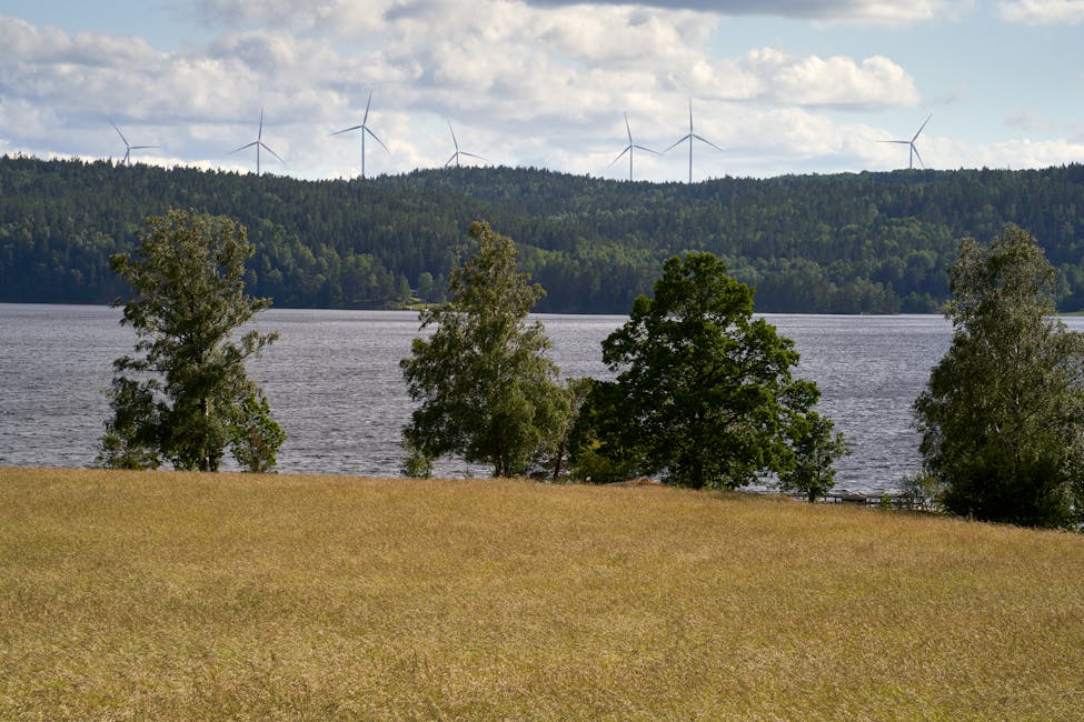 Champ d'éoliennes et panneaux solaires, illustrant des sources d'énergie renouvelable pour un hébergement web durable.