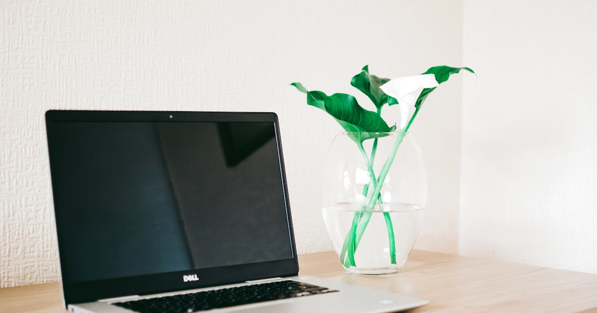 Une main tenant une feuille verte au-dessus d'un clavier d'ordinateur, symbolisant l'engagement Green IT et la réduction de l'empreinte carbone numérique.